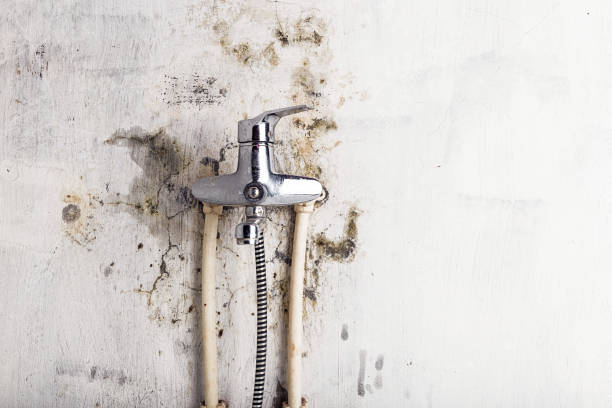 Best DIY Mold Remediation Support Services in Pine Mountain, GA