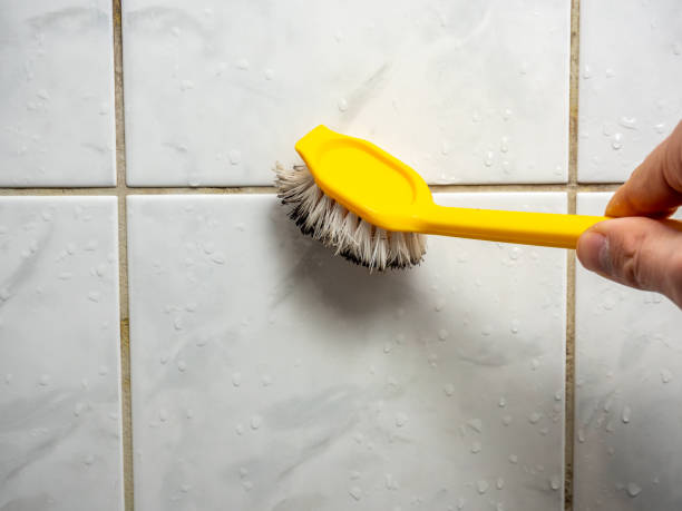 Best Residential Mold Remediation in Pine Mountain, GA