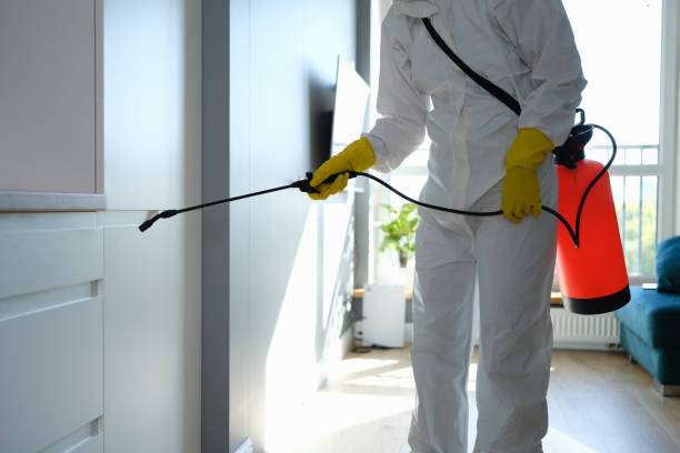 Best Bathroom Mold Remediation in Pine Mountain, GA